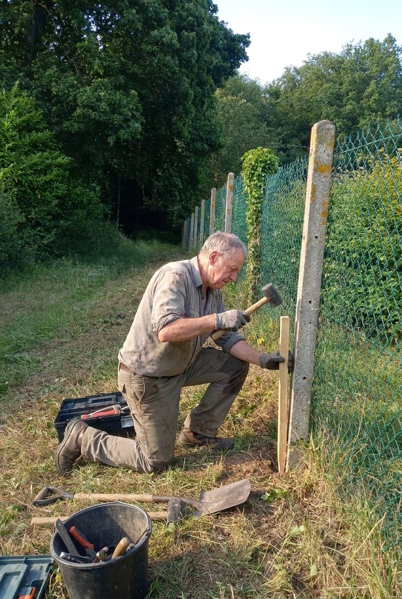 François